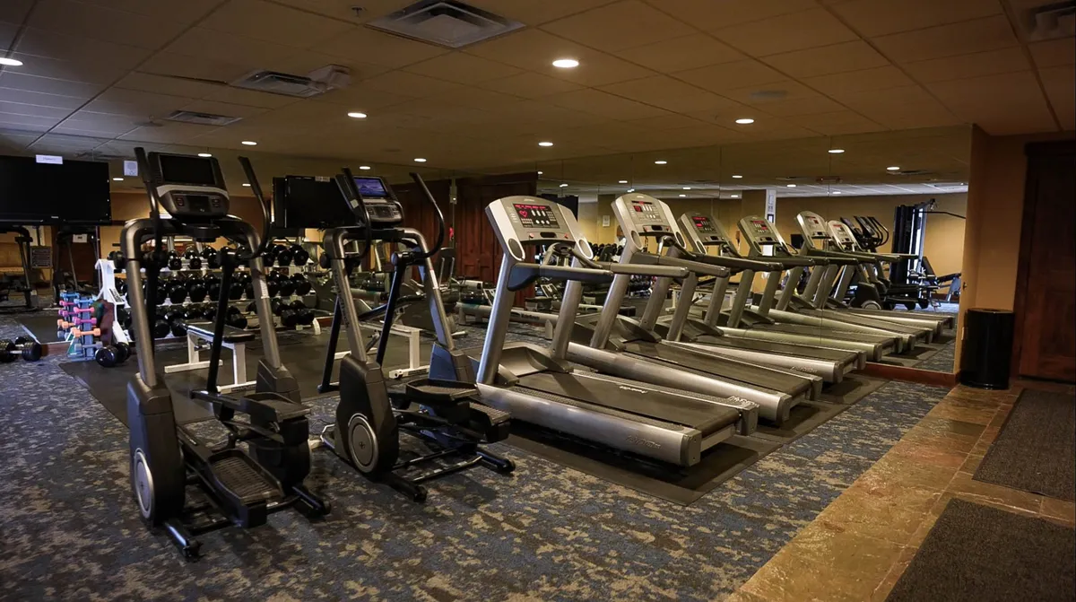 An interior view of the exercise facility, featuring a row of treadmills, elliptical machines, and a dumbbell rack. The space is bright, modern, and designed for both cardio and strength workouts.